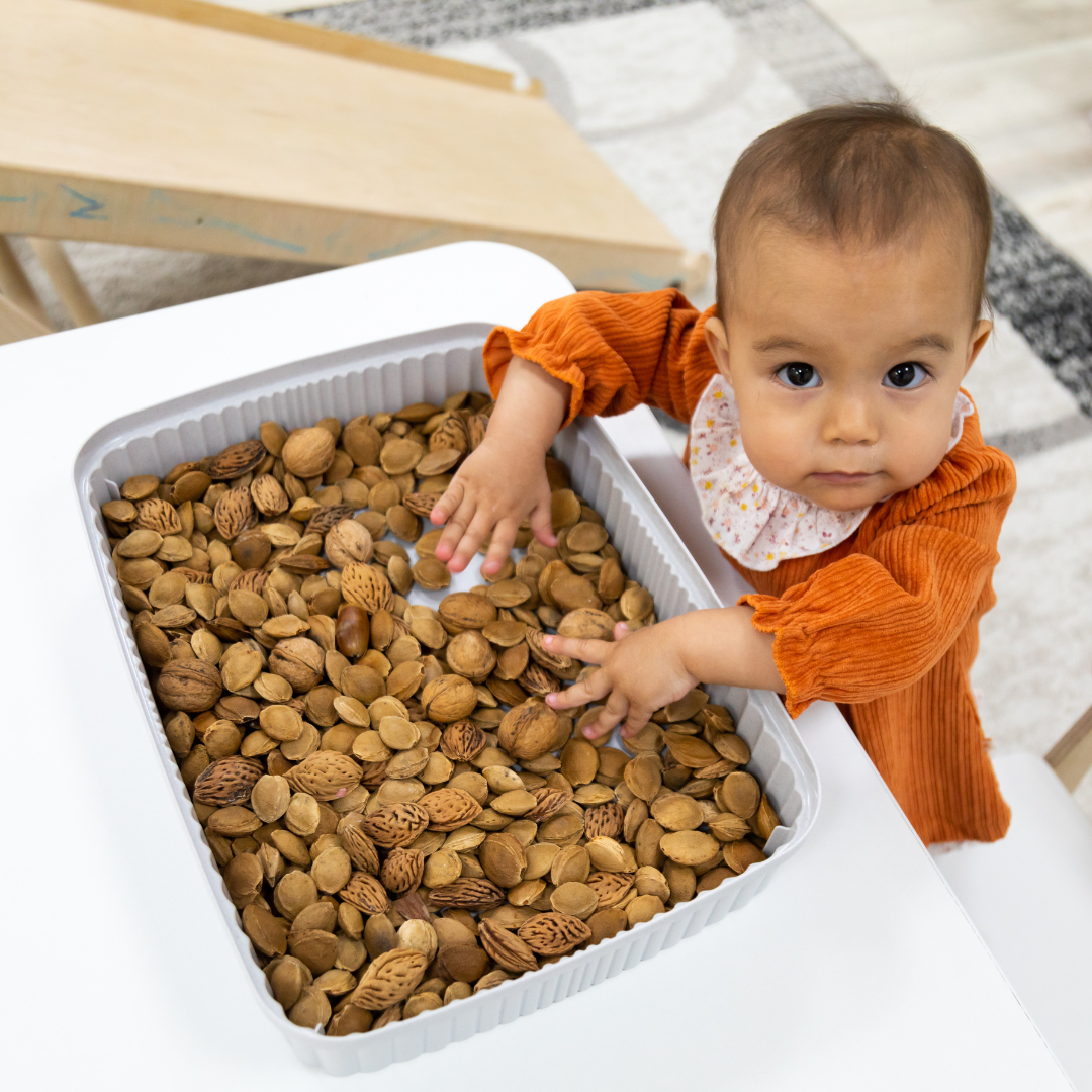 A baby putting their hands in a tub of peach pits and varying nuts